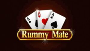 Rummy Mate